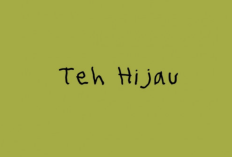 Arti Lagu Teh Hijau Tulus, Menyimpan Makna Akan Bekunya Hati dan Perjuangan untuk Berdamai