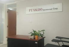 PT Valdo Sumber Daya Mandiri Penipuan? Perusahaan Outsourcing Buka Lowongan Pekerjaan, Cek Faktanya di Sini! 