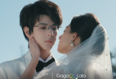 UPDATE! Link Nonton Drachin Double Helix (2026) Episode Episode 11-12 Sub Indonesia, Bagaimana Ending Kisah Cinta Lu Feng dan Cheng Yichen?